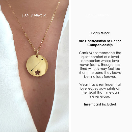 Faithful companion - Canis major and canis minor necklace