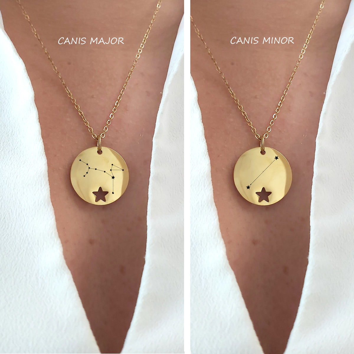 Collier personnalisé avec portrait d'animal de compagnie