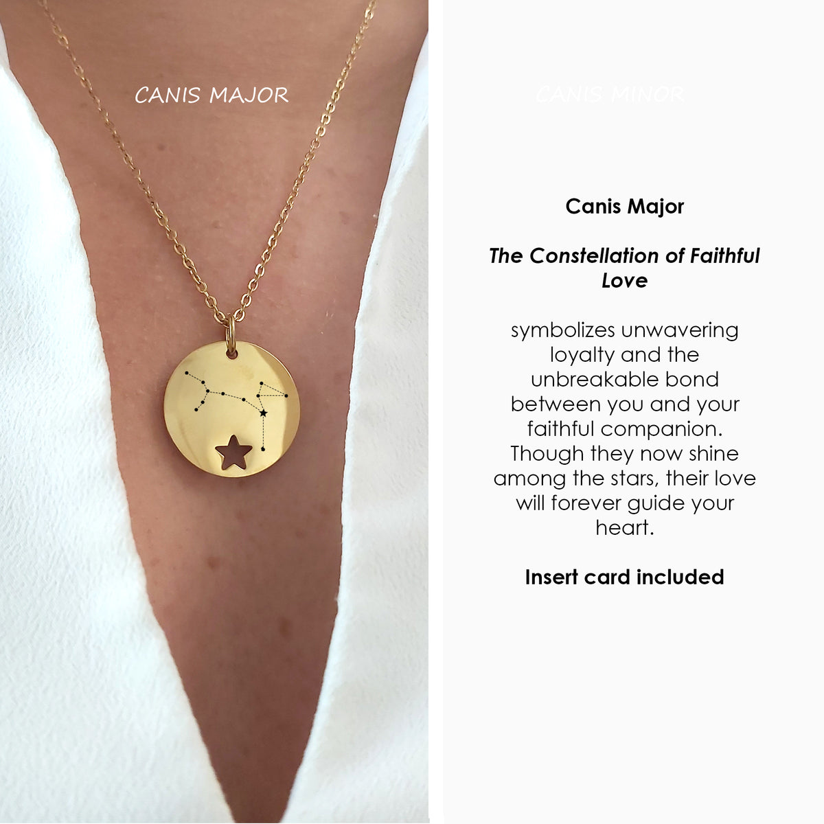 Collier personnalisé avec portrait d'animal de compagnie