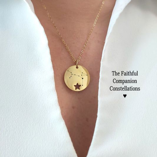 Faithful companion - Canis major and canis minor necklace