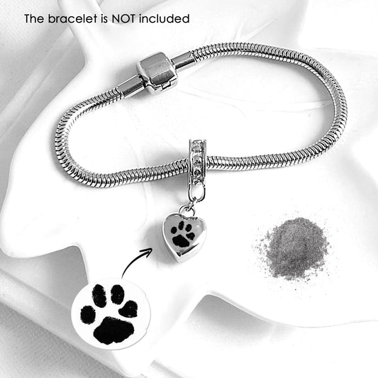 Silver bracelet with paw print charm on a white background