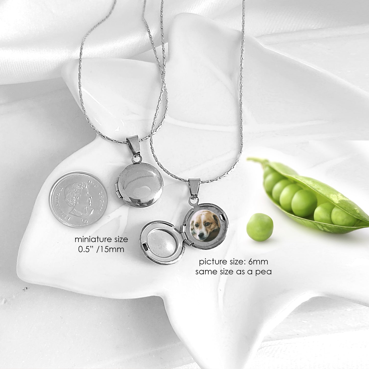 Paw print tiny locket with photos