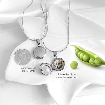 Paw print tiny locket with photos